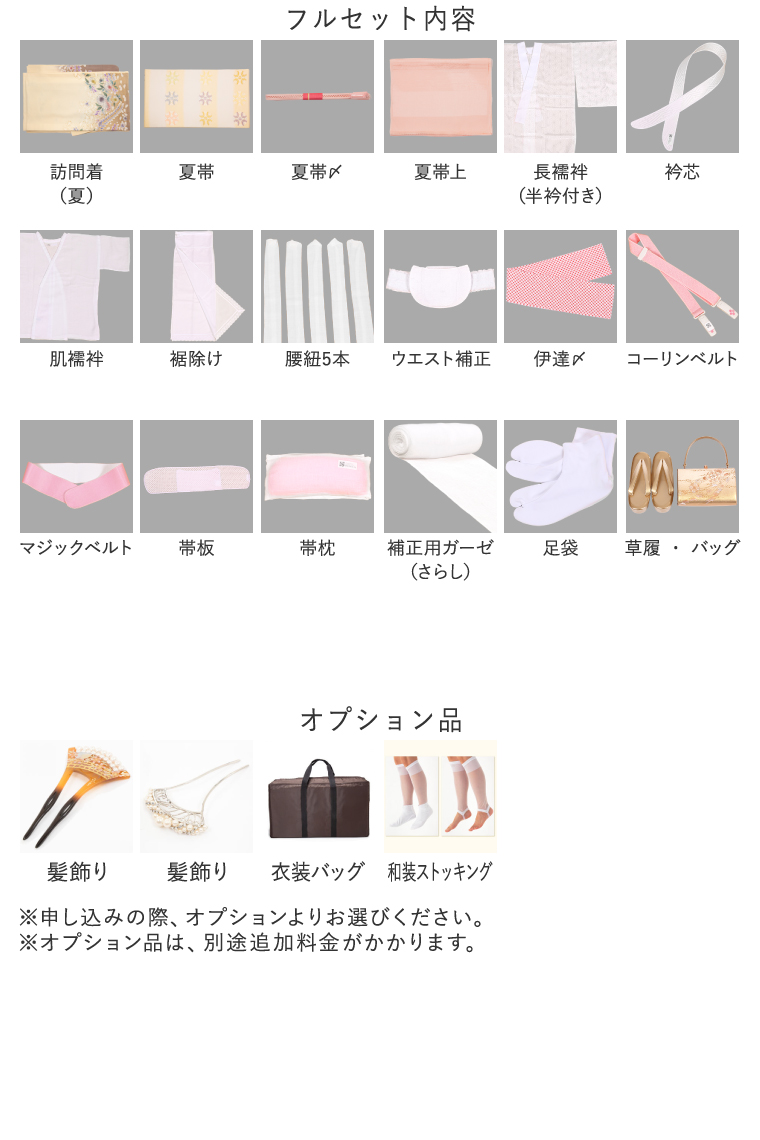 夏訪問着レンタル 夏訪問着LLサイズ 加賀友禅：本間哲也 波に千鳥 紅碧
